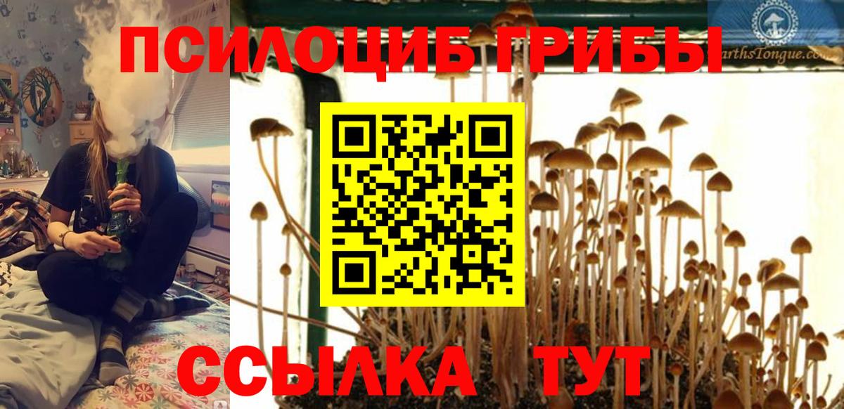 Галлюциногенные грибы Psilocybine cubensis  Галлюциногенные грибы мицелий  Донской 