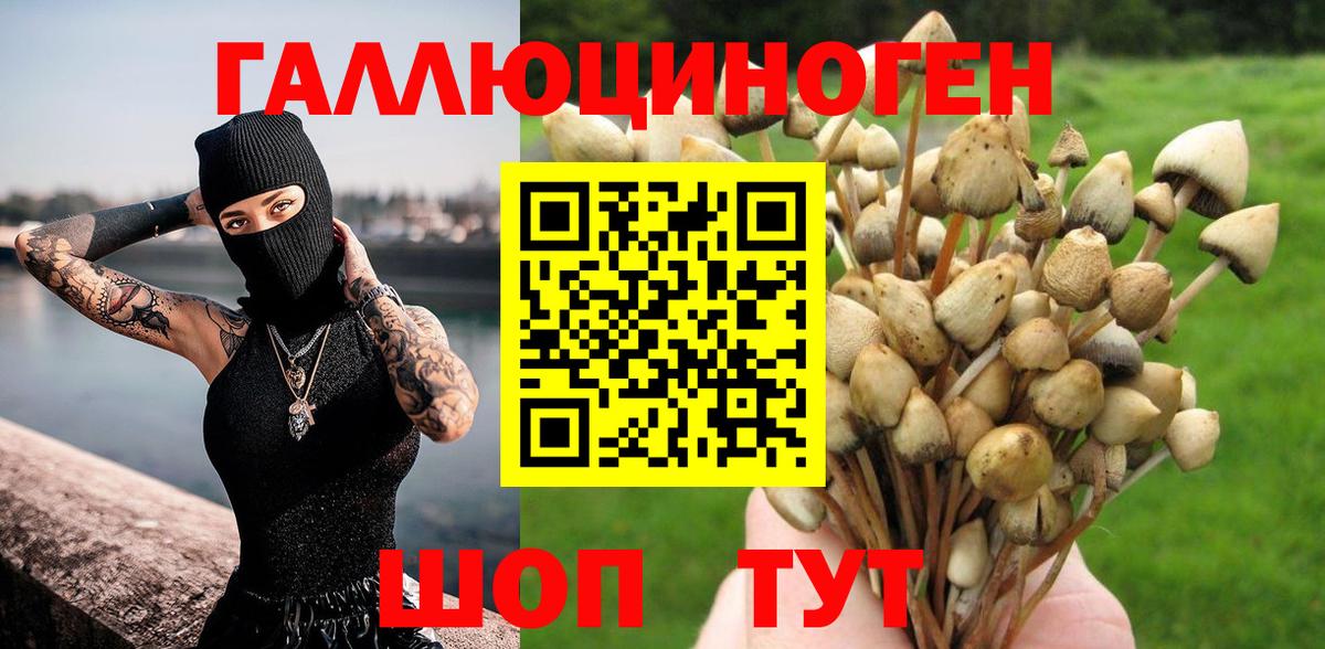 Псилоцибиновые грибы прущие грибы Донской