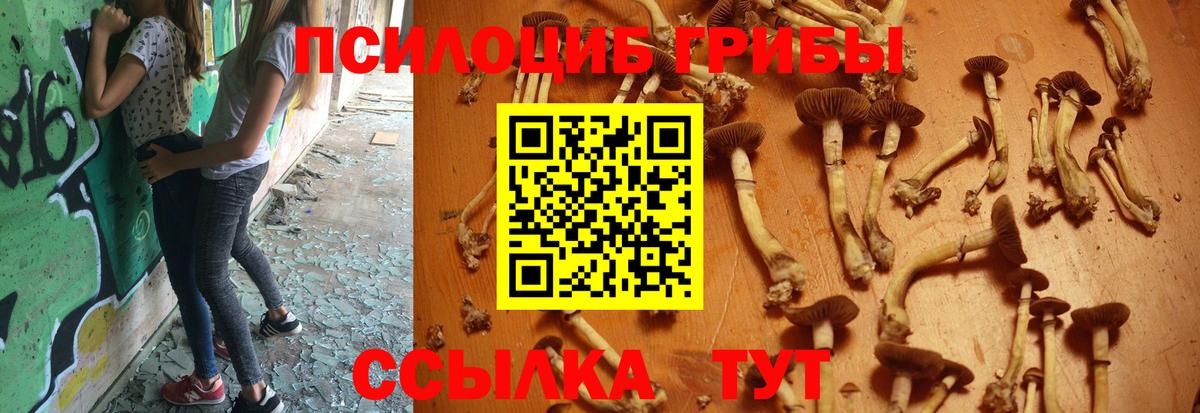 Псилоцибиновые грибы Magic Shrooms  Вход с VPN  Донской 