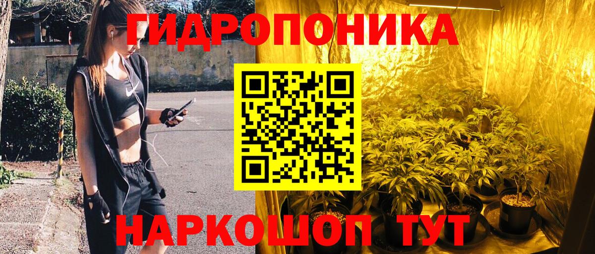 Донской  Бошки Шишки сатива  Шишки марихуана конопля  Вход с VPN 